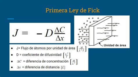 ley de flick